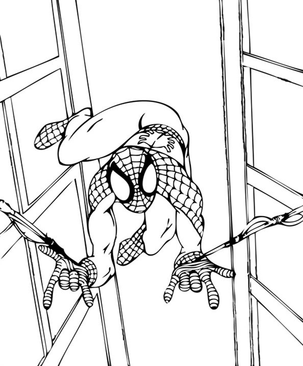 bilder 8 spiderman